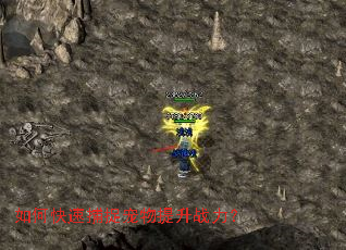 ��ο��ٲ�׽��������ս����