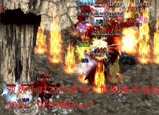 ˫��Сʱ20��ˢ�֣���ξ�׼��׽0020��0220��Boss��