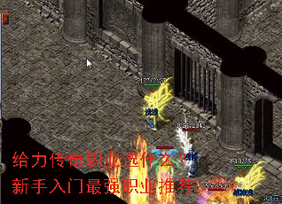 ��������ְҵѡʲô������������ǿְҵ�Ƽ�