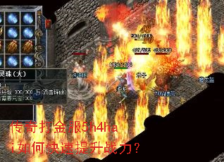 �������5h4hai��ο�������ս����