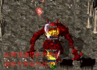 ��ο������������·���ɫ�ȼ���ս����