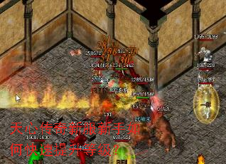 天心传奇新服新手如何快速提升等级? 天心传奇新服新手如何快速提升等级?