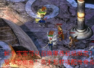 ���ֱ��������ٻ���Щ������̬�����������ν���˫��̬��ϣ������������䴫����̬ʵ��˫���ٻ���