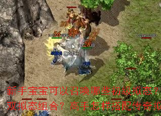 ���ֱ��������ٻ���Щ������̬�����������ν���˫��̬��ϣ������������䴫����̬ʵ��˫���ٻ���