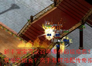 ���ֱ��������ٻ���Щ������̬�����������ν���˫��̬��ϣ������������䴫����̬ʵ��˫���ٻ���