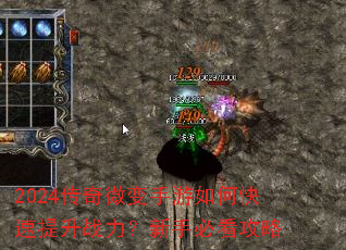 2024����΢��������ο�������ս�������ֱؿ�����