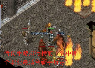 �����������а�ǰʮ�����ĸ�ְҵ���ʺ�������ң�