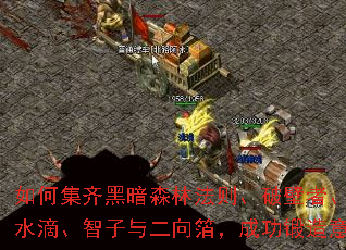 ��μ���ڰ�ɭ�ַ����Ʊ��ߡ�����ߡ�ˮ�Ρ���������򲭣��ɹ���������֮����