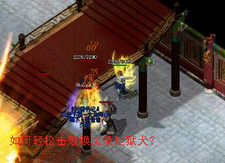 ������ɻ��ܻ���¼����Ȯ��
