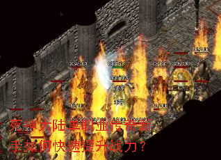 �����½��ְҵ����������ο�������ս����