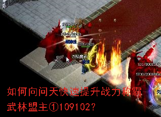 ����������������ս���ư�����������109102��