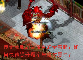 �����·�ˢװ�����ȫ��������ο������������뱶�����ԣ�