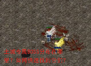 ����ר��BOSS�ֲ��������ο����ҵ����ǣ�