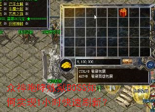 ������������BOSS���ʵ��1Сʱ����ˢ�£�
