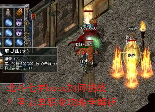 ��������boss�����ս��ʥ�۵�ְҵ����ȫ����