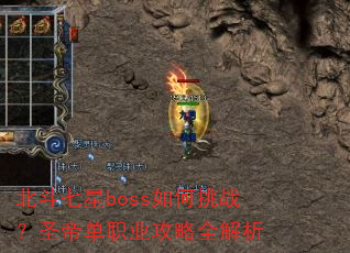 ��������boss�����ս��ʥ�۵�ְҵ����ȫ����