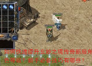 如何快速提升玄妙之境传奇新服角色等级?新手必备技巧有哪些? 如何快速提升玄妙之境传奇新服角色等级?新手必备技巧有哪些?