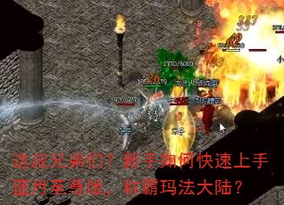 达叔兄弟们?新手如何快速上手蓝月至尊版,称霸玛法大陆? 达叔兄弟们?新手如何快速上手蓝月至尊版,称霸玛法大陆?
