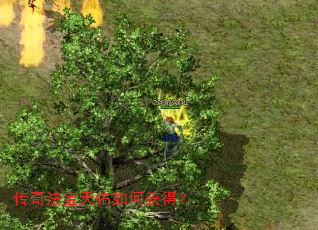 传奇法宝天佑如何获得? 传奇法宝天佑如何获得?