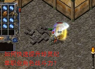 如何快速提升珍灵纪单职业角色战斗力? 如何快速提升珍灵纪单职业角色战斗力?