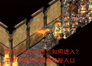 复古传神丛林迷宫如何进入?详细攻略带你探索神秘入口 复古传神丛林迷宫如何进入?详细攻略带你探索神秘入口