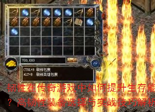 韧性在传奇游戏中如何提升生存能力?高韧性装备选择与实战技巧解析 韧性在传奇游戏中如何提升生存能力?高韧性装备选择与实战技巧解析