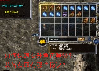 如何快速提升角色等级?装备获取有哪些秘诀? 如何快速提升角色等级?装备获取有哪些秘诀?