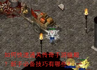 如何快速通关传奇手游暗殿?新手必备技巧有哪些? 如何快速通关传奇手游暗殿?新手必备技巧有哪些?