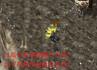 结婚后能享受哪些功能?新手期如何避免乱花钱? 结婚后能享受哪些功能?新手期如何避免乱花钱?