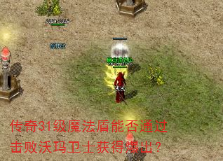 传奇31级魔法盾能否通过击败沃玛卫士获得爆出? 传奇31级魔法盾能否通过击败沃玛卫士获得爆出?
