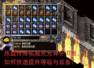 热血传奇私服无元神怀旧版,如何快速提升等级与装备? 热血传奇私服无元神怀旧版,如何快速提升等级与装备?