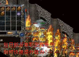 ÿ���¿���ְҵ��������ο�������ս����