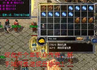 现在开个单职业传奇,新手如何快速提升战力? 现在开个单职业传奇,新手如何快速提升战力?