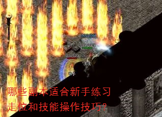 哪些副本适合新手练习走位和技能操作技巧? 哪些副本适合新手练习走位和技能操作技巧?