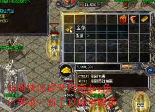 如何快速提升传奇dzy角色等级?新手攻略全解析 如何快速提升传奇dzy角色等级?新手攻略全解析