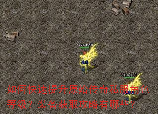 如何快速提升原始传奇私服角色等级?装备获取攻略有哪些? 如何快速提升原始传奇私服角色等级?装备获取攻略有哪些?