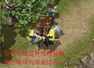 如何快速提升传奇私服角色等级与装备排名? 如何快速提升传奇私服角色等级与装备排名?