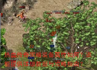 热血传奇黑暗装备属性如何?谁能提供详细数据与攻略指南? 热血传奇黑暗装备属性如何?谁能提供详细数据与攻略指南?