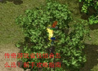 传奇游戏省钱组合怎么选?新手攻略指南 传奇游戏省钱组合怎么选?新手攻略指南