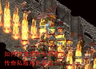 如何快速提升怀旧复古传奇私服角色等级? 如何快速提升怀旧复古传奇私服角色等级?
