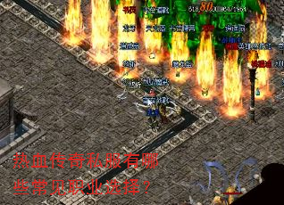 热血传奇私服有哪些常见职业选择? 热血传奇私服有哪些常见职业选择?