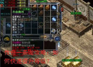 传奇一条龙攻略:如何快速提升等级? 传奇一条龙攻略:如何快速提升等级?