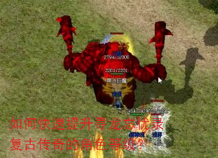 如何快速提升寻龙忘忧录复古传奇的角色等级? 如何快速提升寻龙忘忧录复古传奇的角色等级?