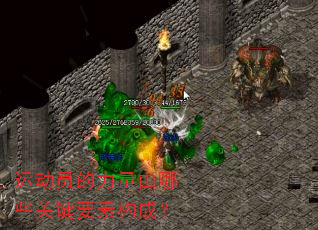 运动员的力量由哪些关键要素构成? 运动员的力量由哪些关键要素构成?