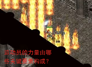 运动员的力量由哪些关键要素构成? 运动员的力量由哪些关键要素构成?