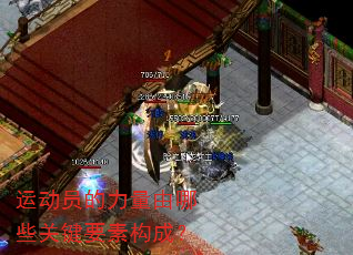 运动员的力量由哪些关键要素构成? 运动员的力量由哪些关键要素构成?