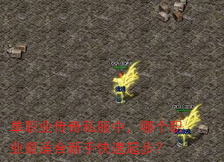 单职业传奇私服中,哪个职业最适合新手快速起步? 单职业传奇私服中,哪个职业最适合新手快速起步?
