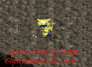 1点80星王同声传译如何搭配不同传递函数提升战斗效率? 1点80星王同声传译如何搭配不同传递函数提升战斗效率?