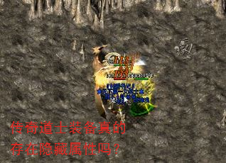 传奇道士装备真的存在隐藏属性吗? 传奇道士装备真的存在隐藏属性吗?