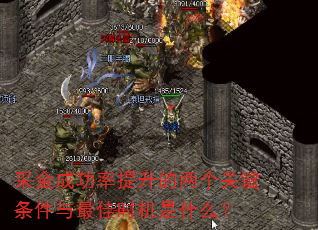 采金成功率提升的两个关键条件与最佳时机是什么? 采金成功率提升的两个关键条件与最佳时机是什么?